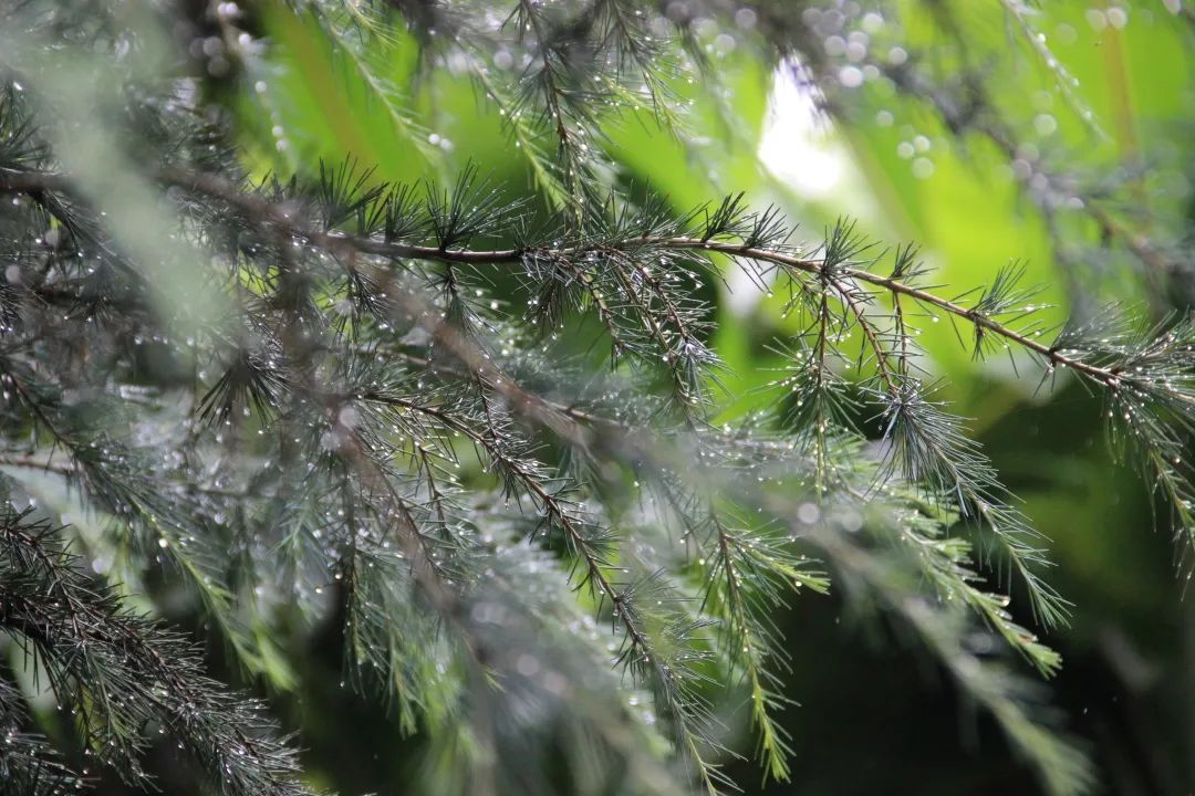 昆明文旅