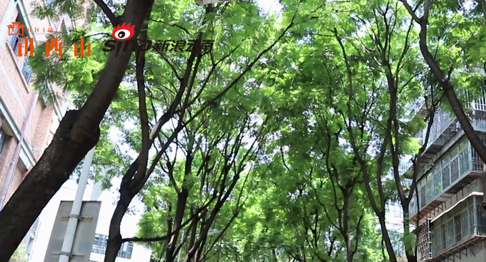 昆明西山发布