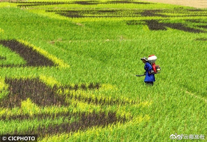 “云南发布”微博