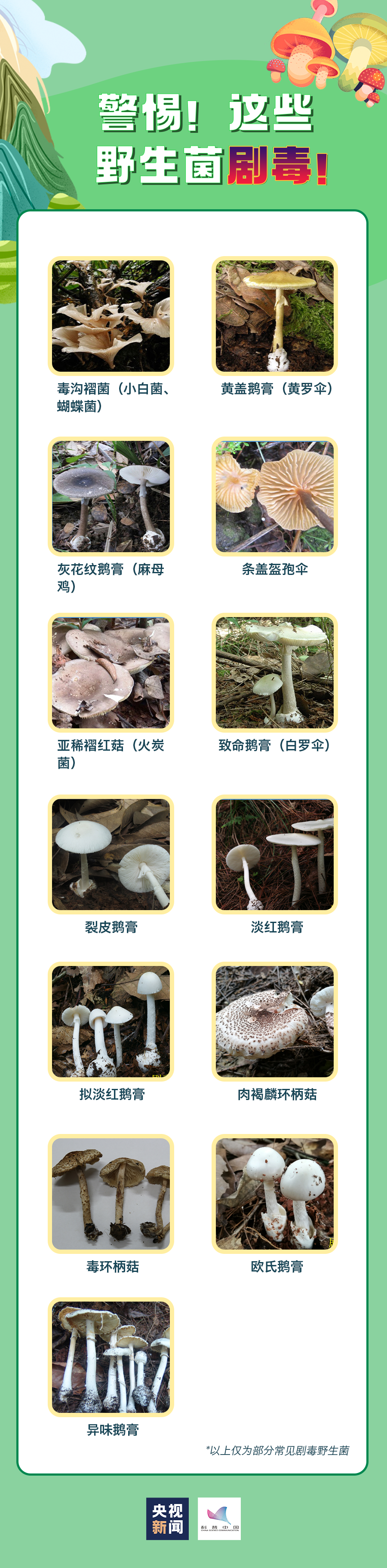 宜良之窗
