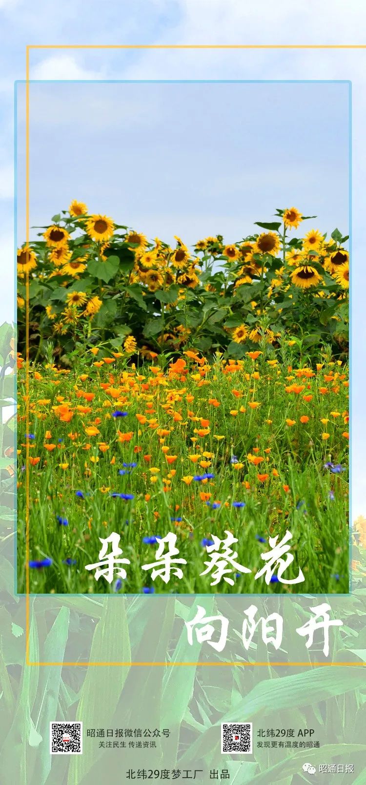 昭通日报