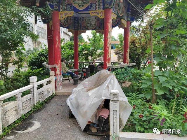 昭通日报