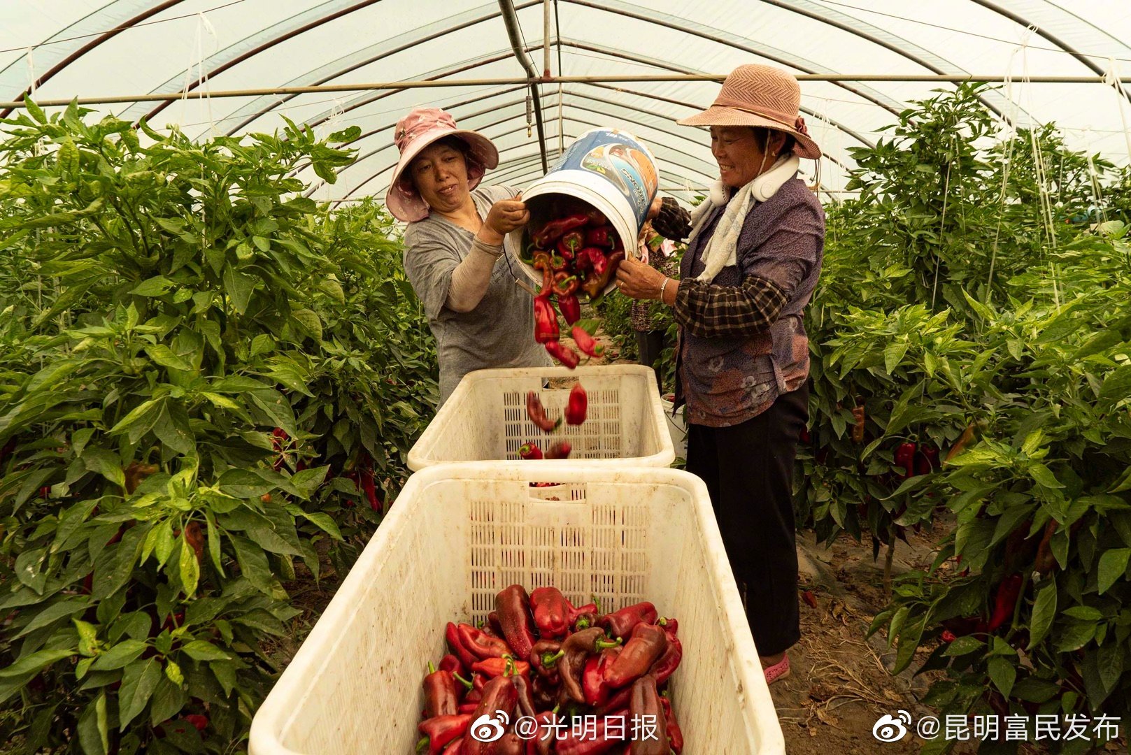 “昆明富民发布”微博