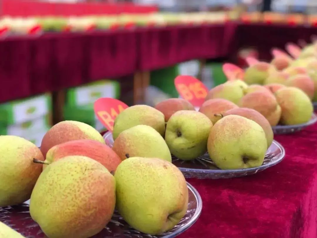 昆明文旅
