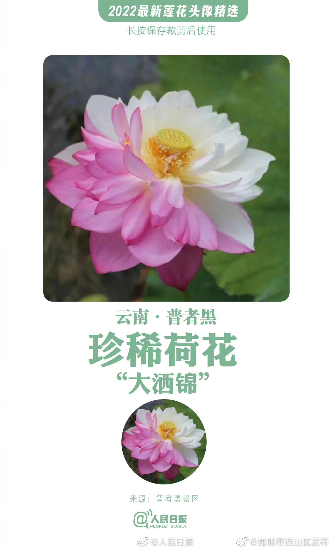 昆明市西山区发布