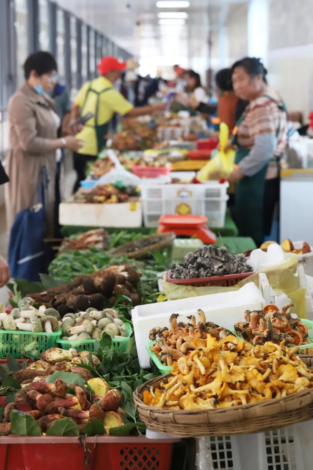 一部手机游云南