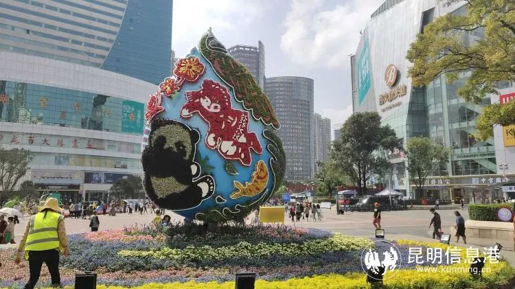 昆明信息港/cnkmxxg