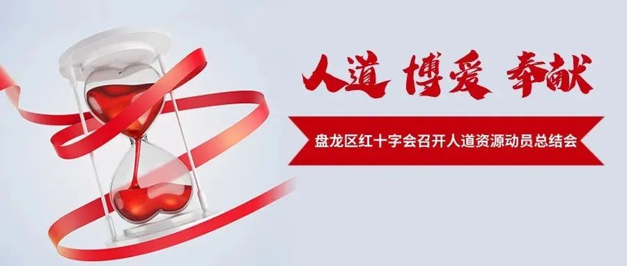 微观盘龙
