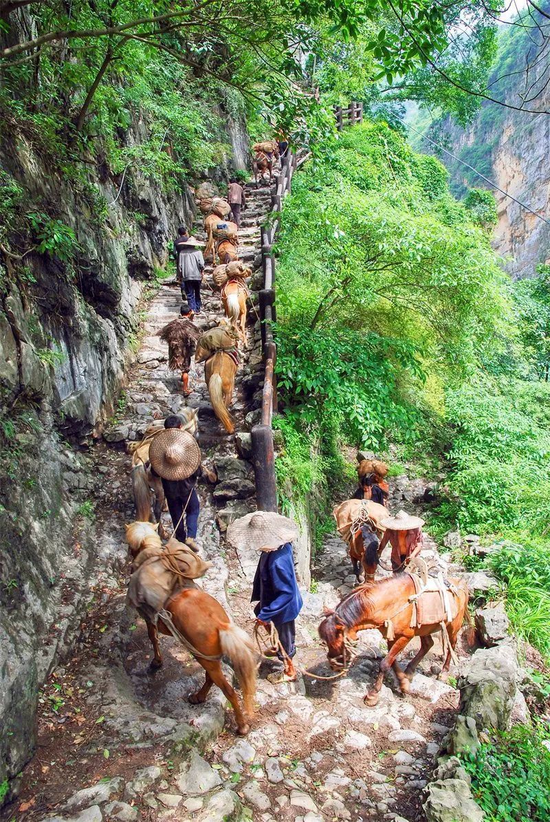 文旅云南