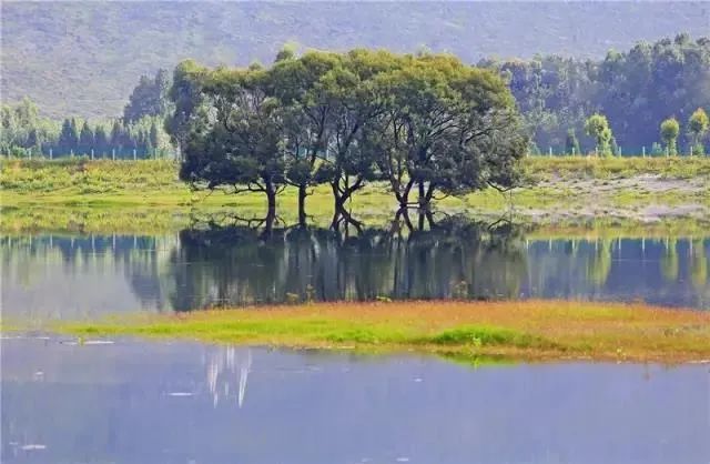 云南省文化和旅游厅