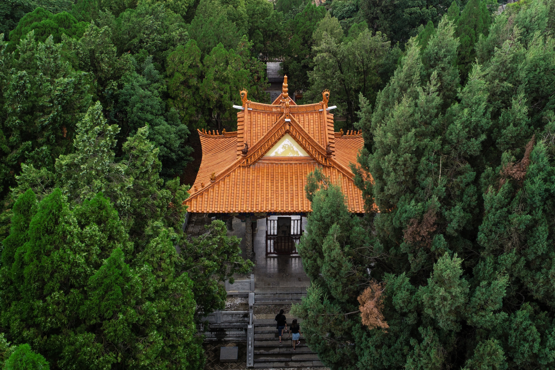 掌上春城
