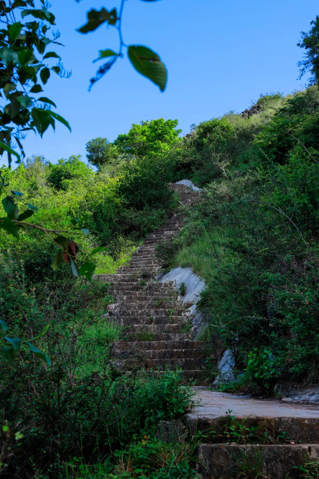 一部手机游云南