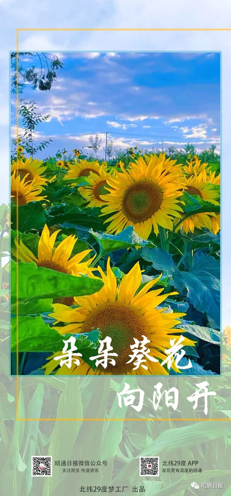 昭通日报