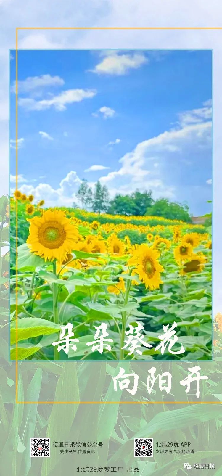 昭通日报