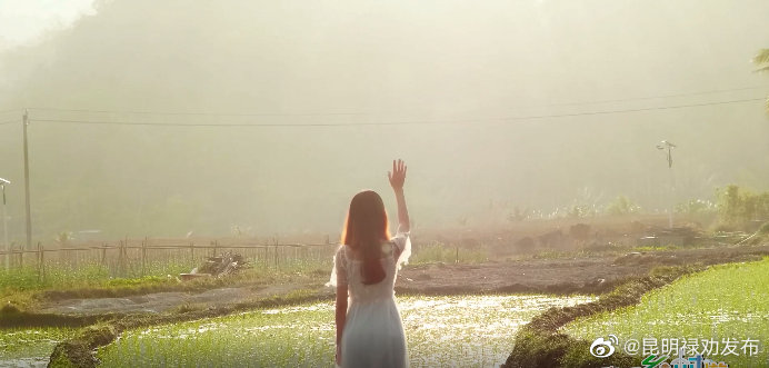 回归悠然田园 海南处处是风景