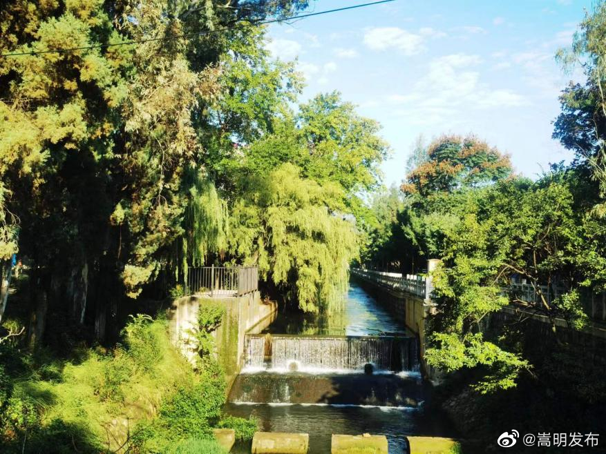 嵩明发布