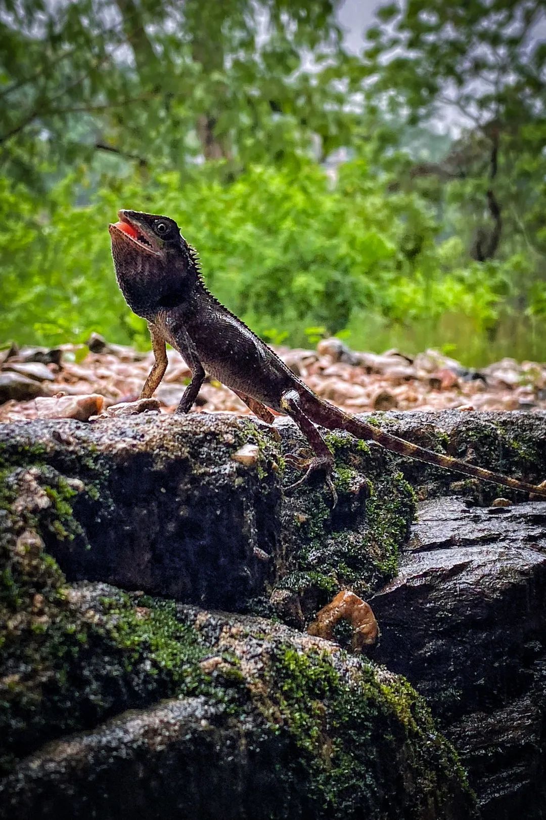 昆明铁路