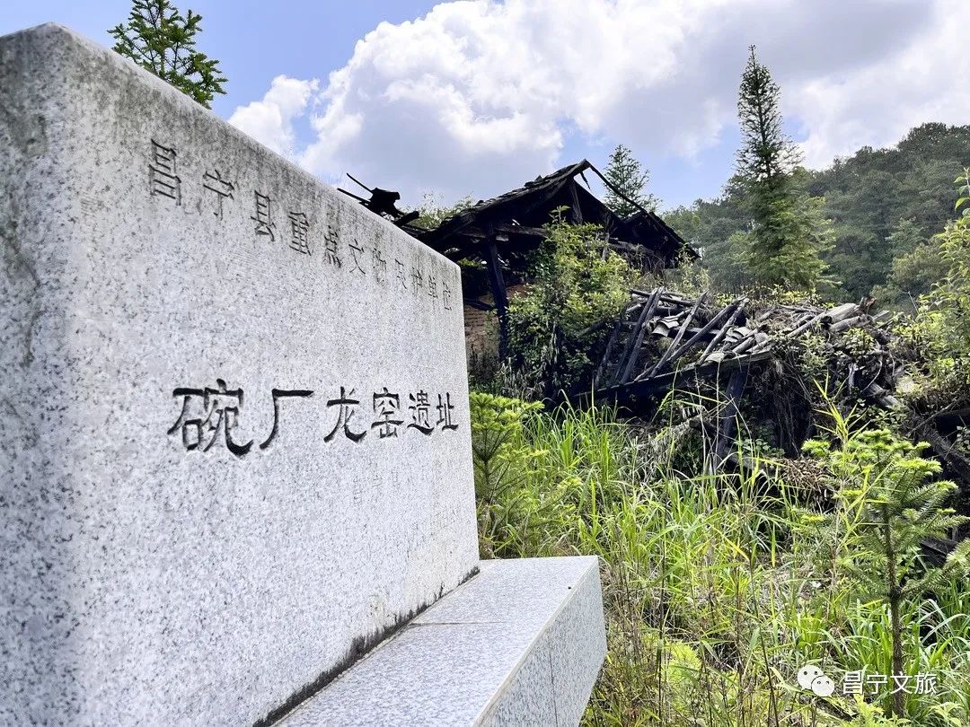 保山新闻网