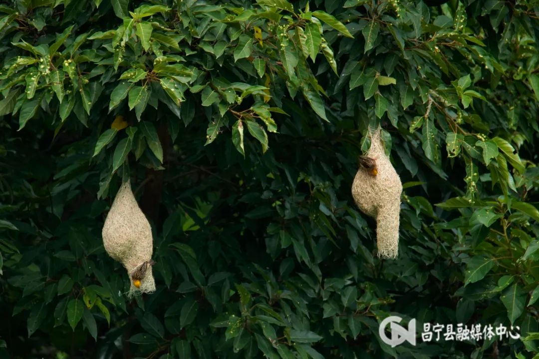 保山新闻网