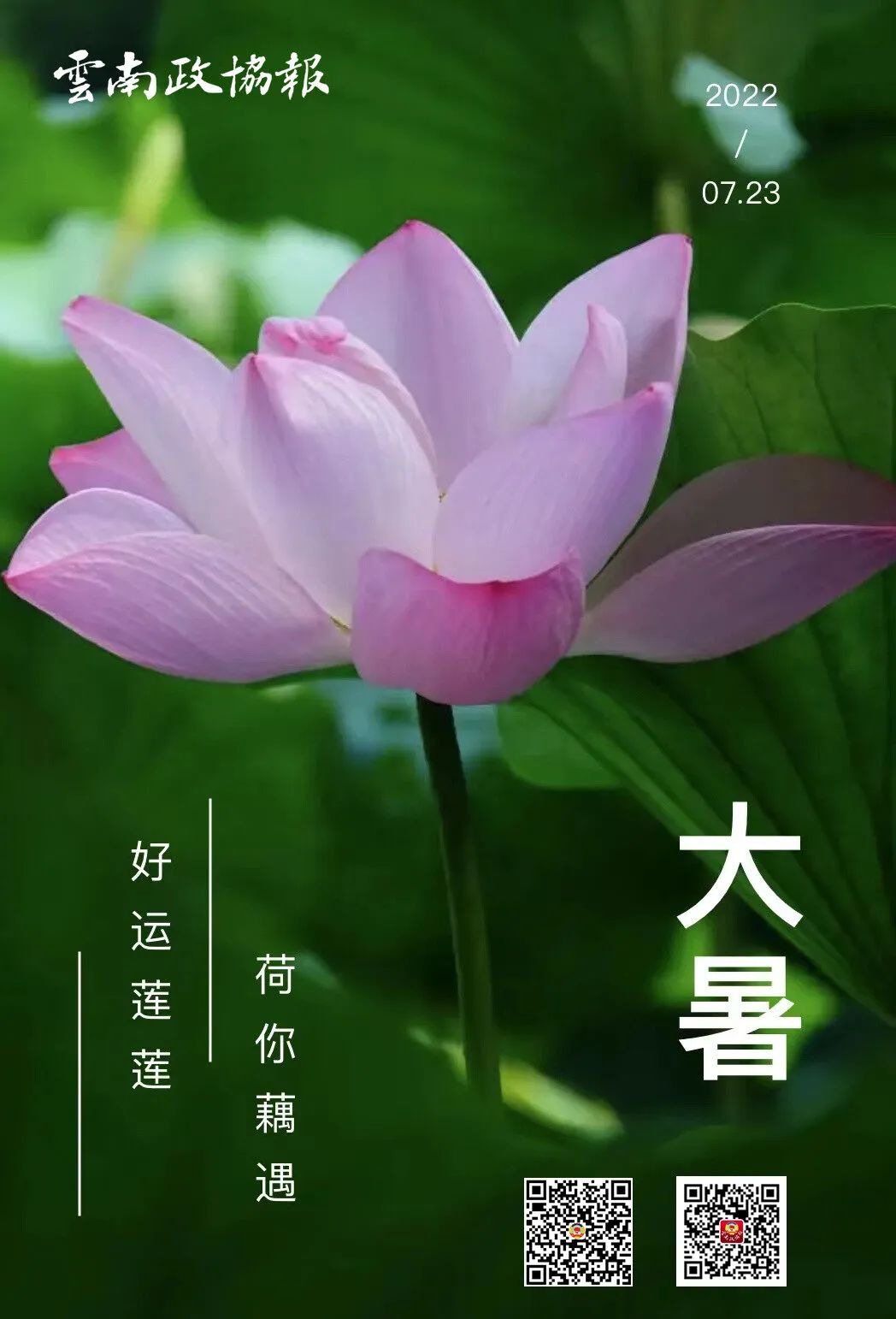 云南政协报