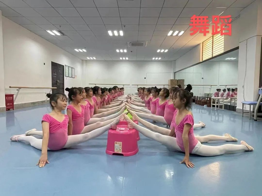 盘龙教育(微信)