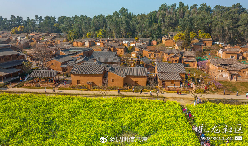 昆明信息港