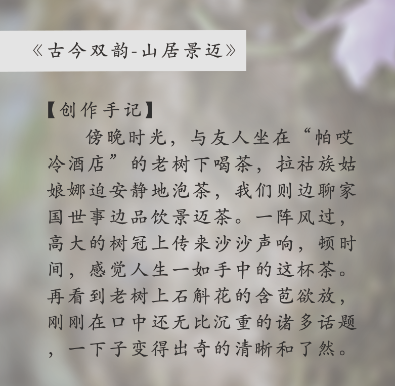 普洱日报