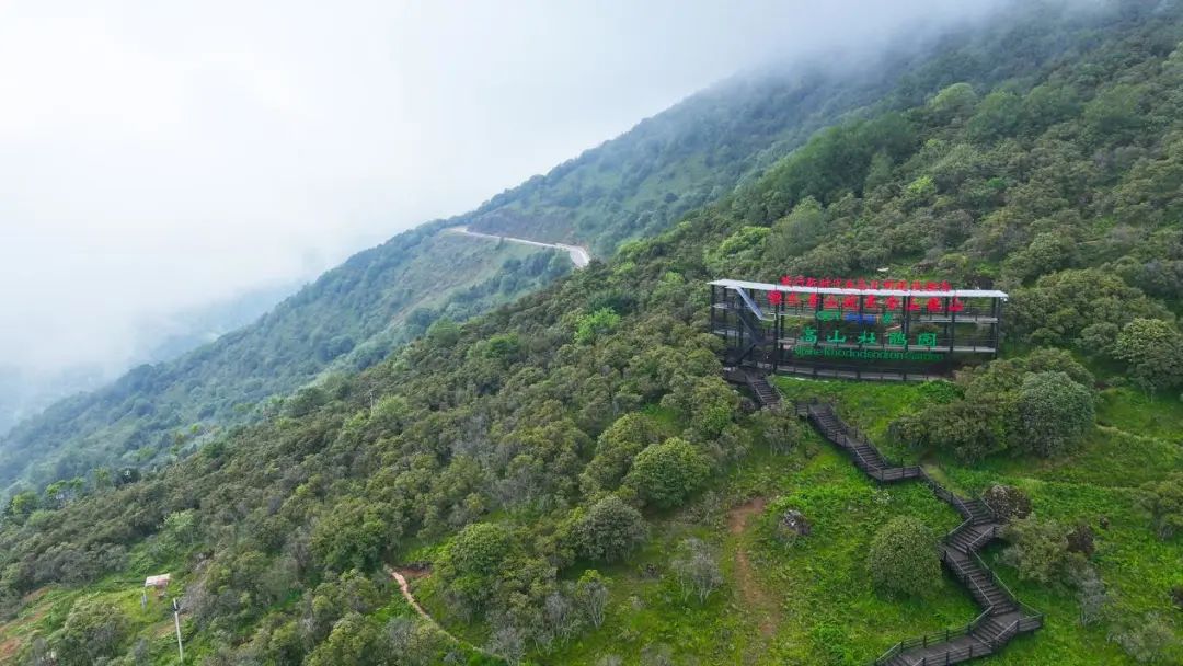 昆明轿子山旅游