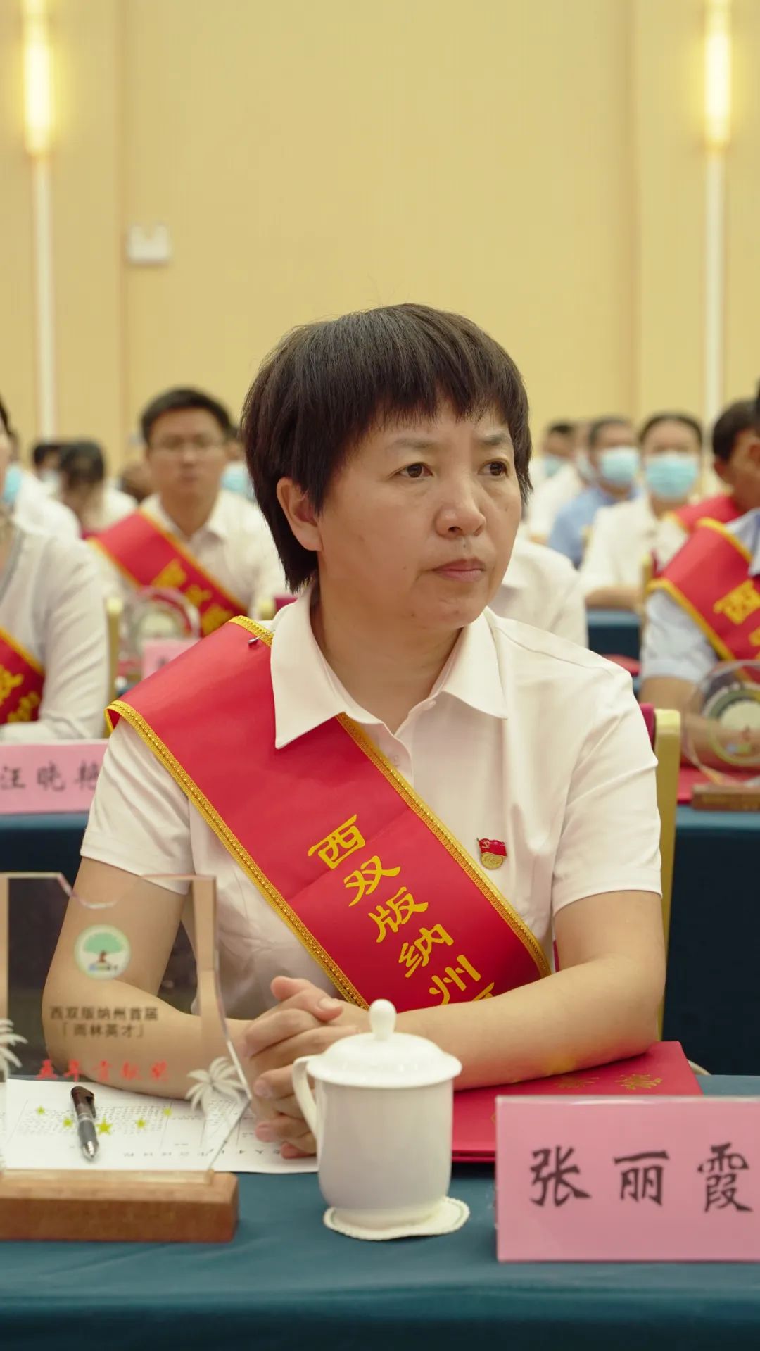 西双版纳先锋