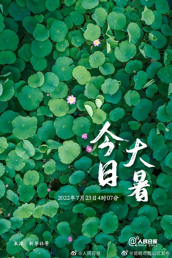 昆明市西山区发布