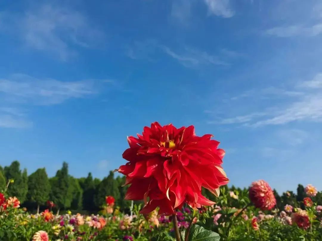 昆明文旅
