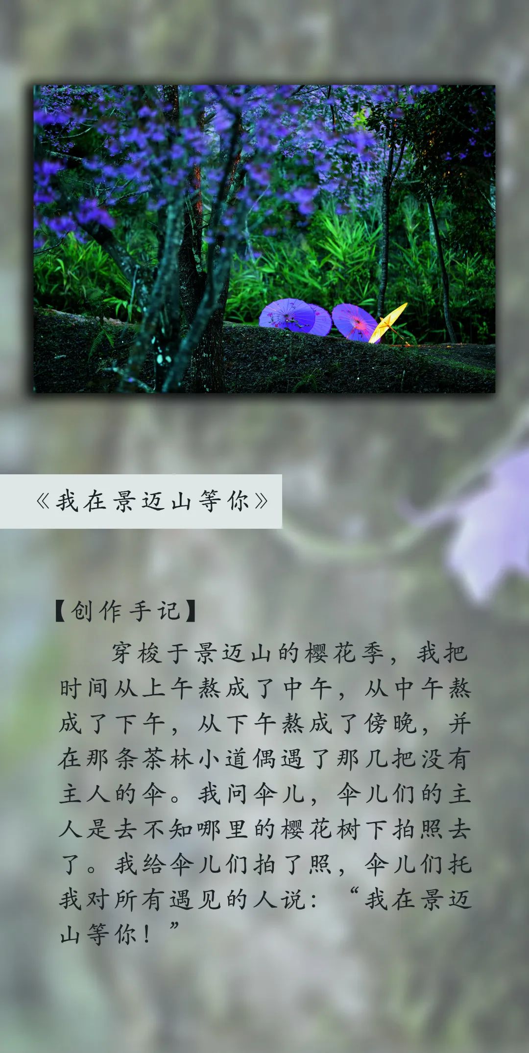 普洱日报