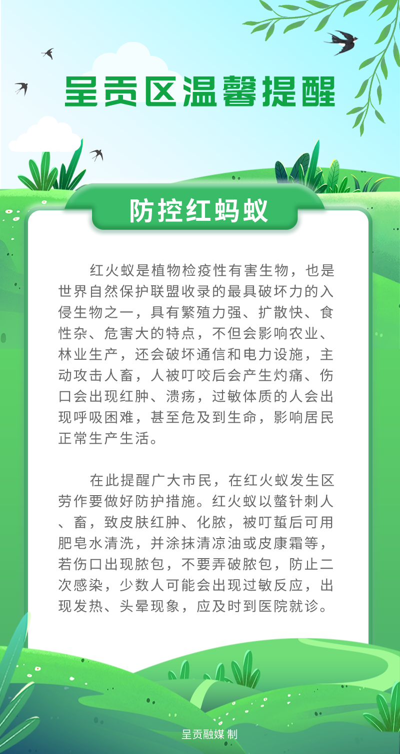 呈贡发布