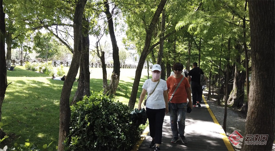 云南省文化和旅游厅