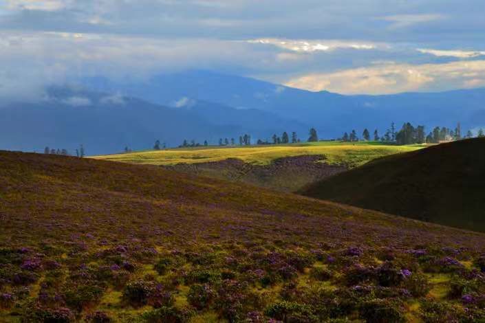 美丽云南微科普