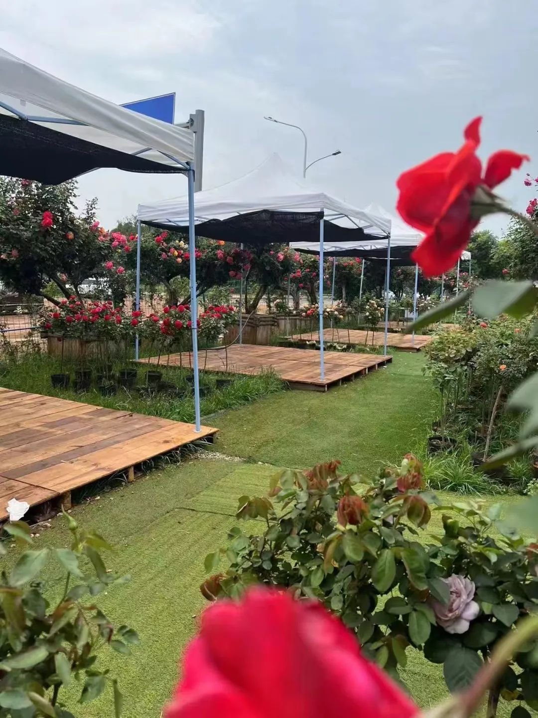 一部手机游云南