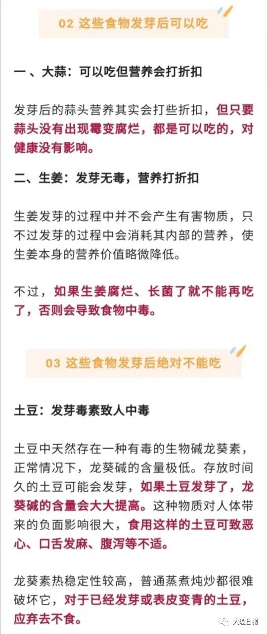 大理日报