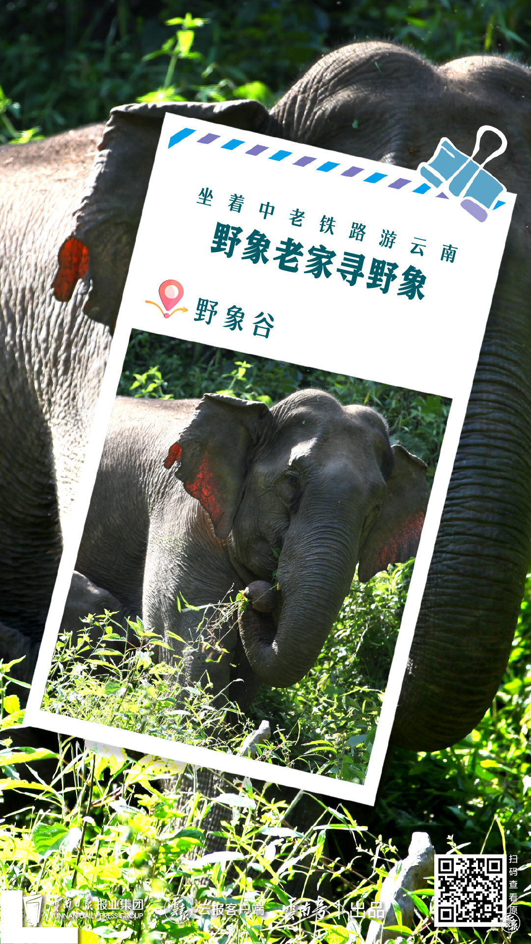 云南省文化和旅游厅
