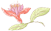 玉溪发布