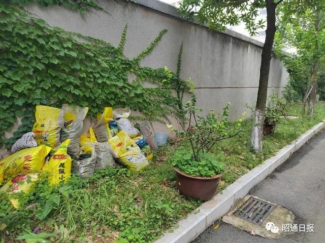 昭通日报