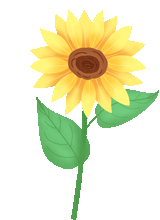 昆明轿子山旅游