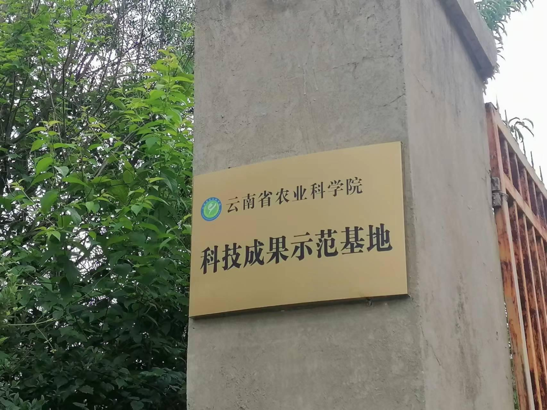 爱上富民