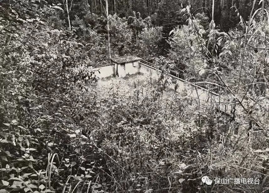 保山广播电视台