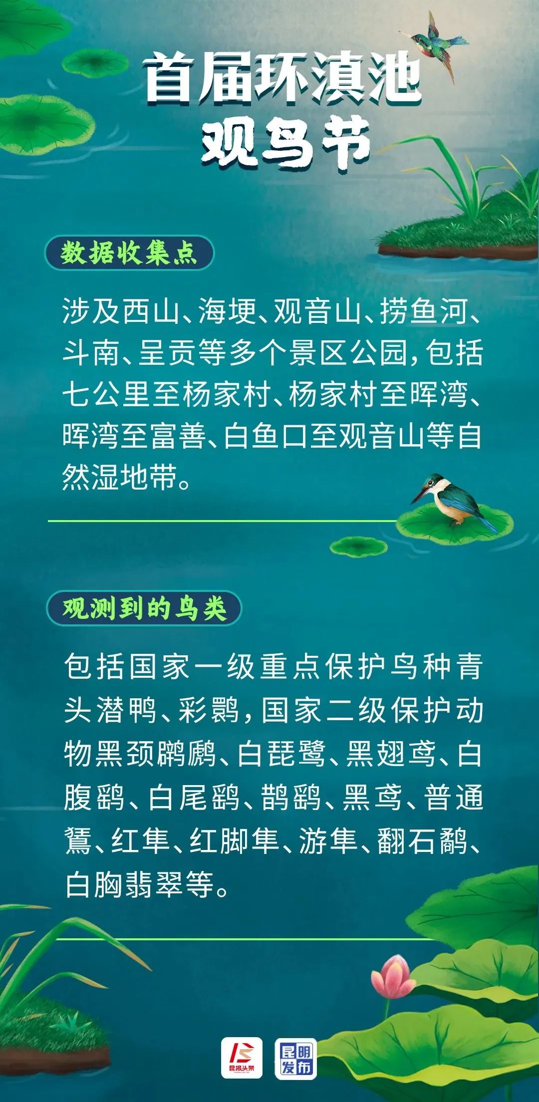 昆明发布