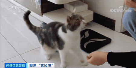 昆明市西山区发布