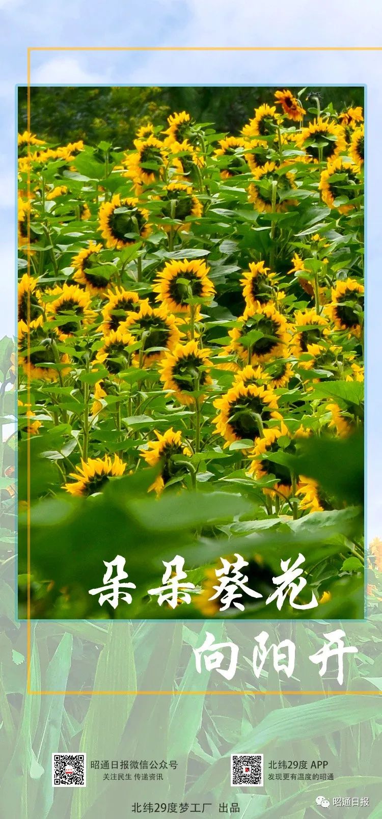 昭通日报