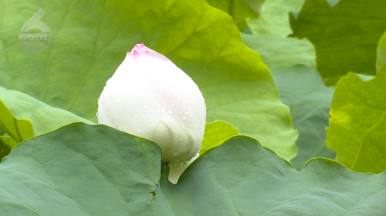 昆明信息港/cnkmxxg