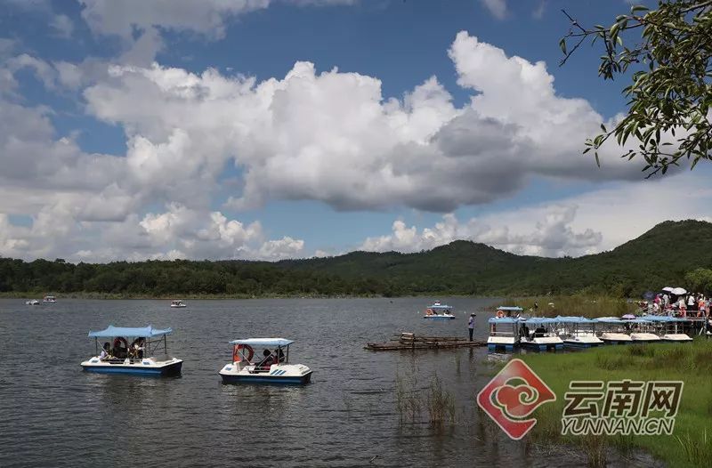 美丽云南微科普