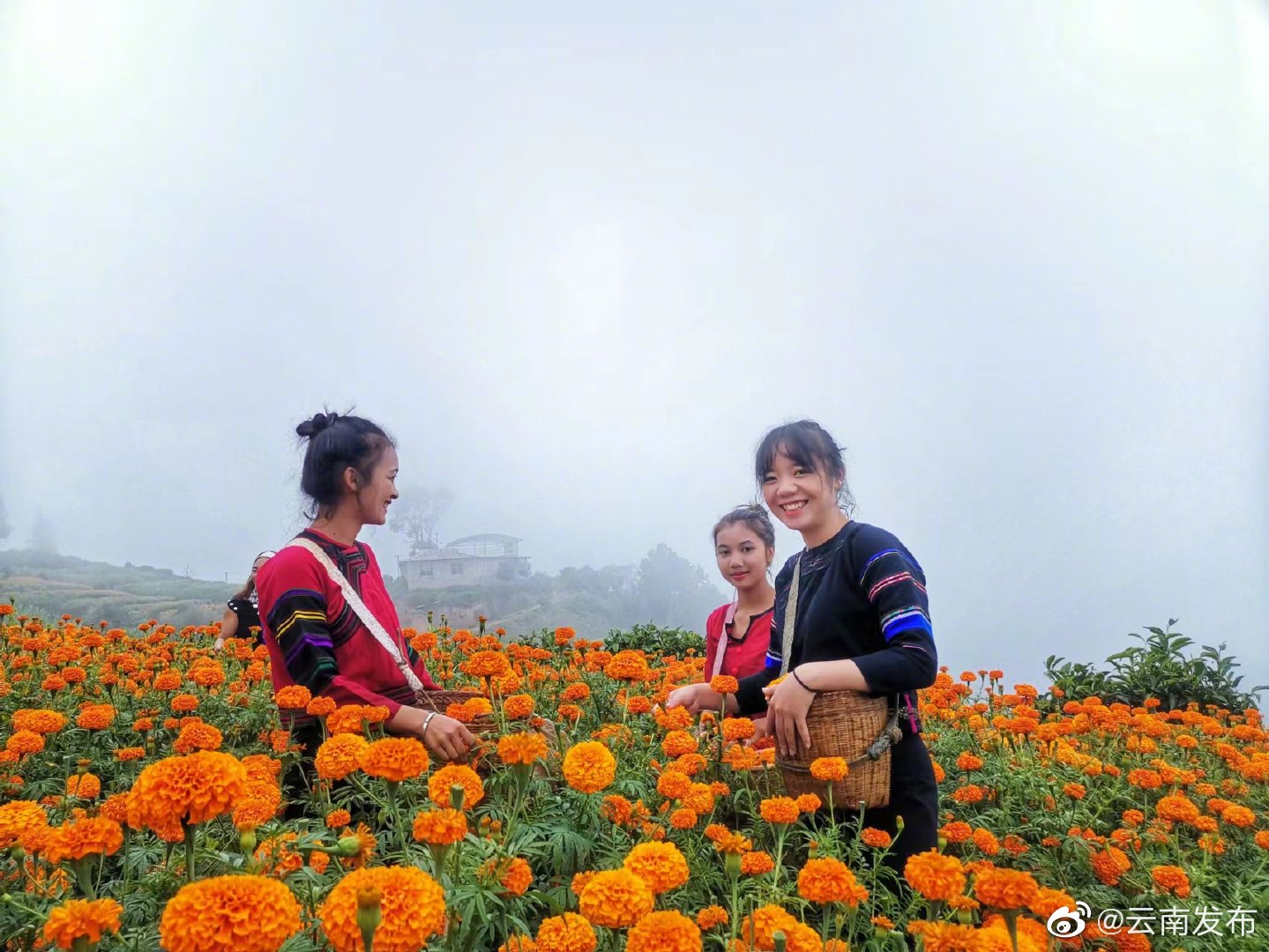 “云南发布”微博