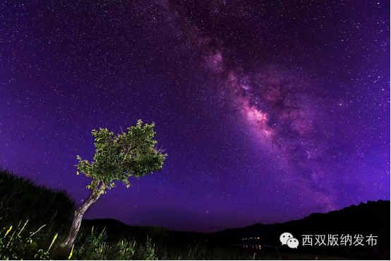 云南省文化和旅游厅